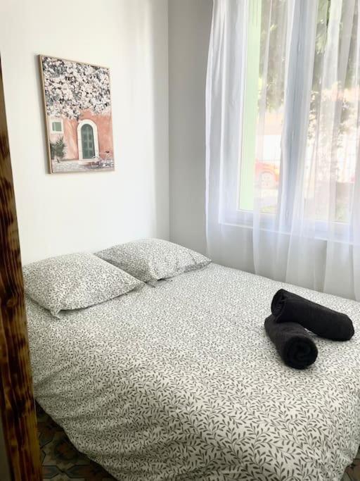 Le Briguiboul Apartamento Castres  Exterior foto